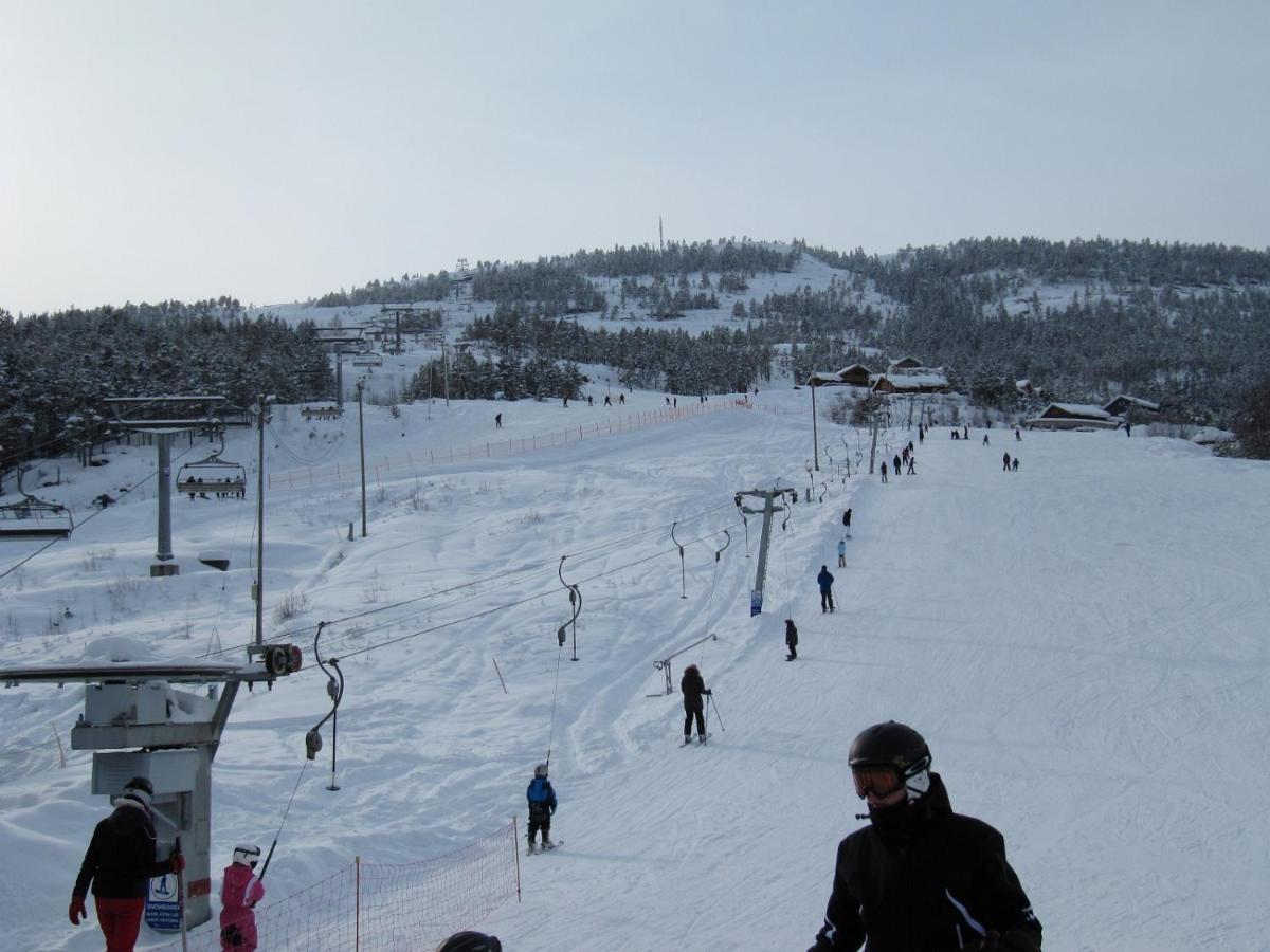 Vradal Panorama - Tiurasvegen 39 Βίλα Εξωτερικό φωτογραφία